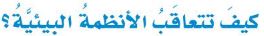 كيف تتعاقب الأنظمة
